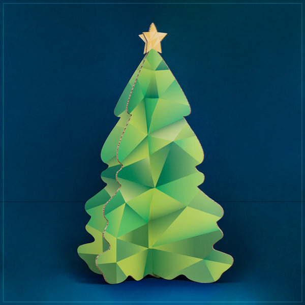 Weihnachtsbaum Alternative 